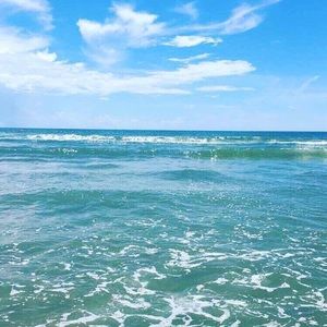 Meet your Posher, Pam